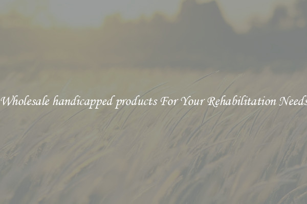 Wholesale handicapped products For Your Rehabilitation Needs