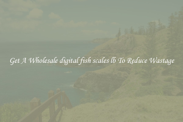Get A Wholesale digital fish scales lb To Reduce Wastage