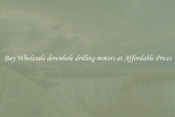 Buy Wholesale downhole drilling motors at Affordable Prices