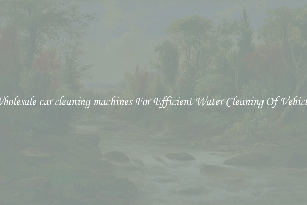 Wholesale car cleaning machines For Efficient Water Cleaning Of Vehicles