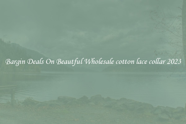 Bargin Deals On Beautful Wholesale cotton lace collar 2023