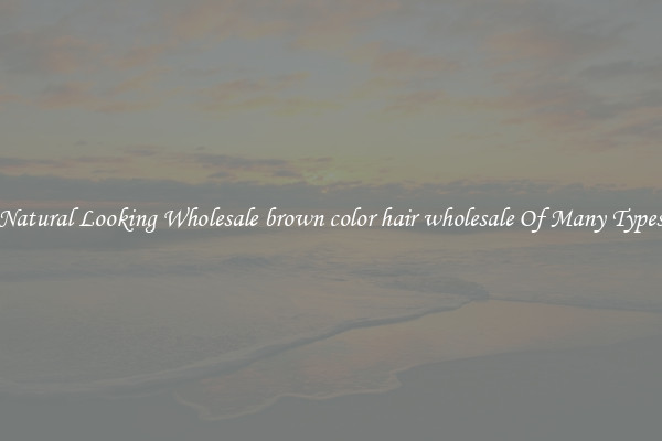 Natural Looking Wholesale brown color hair wholesale Of Many Types