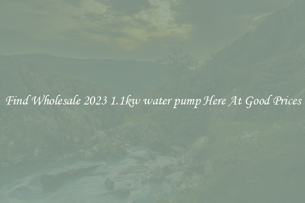 Find Wholesale 2023 1.1kw water pump Here At Good Prices