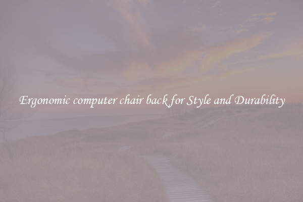 Ergonomic computer chair back for Style and Durability