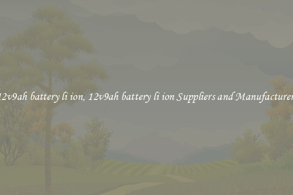 12v9ah battery li ion, 12v9ah battery li ion Suppliers and Manufacturers