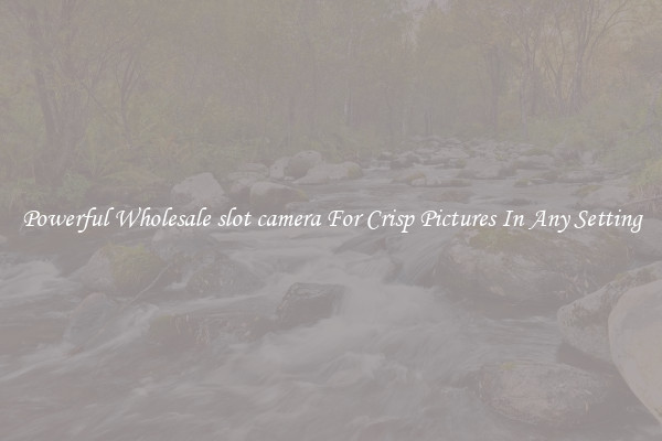 Powerful Wholesale slot camera For Crisp Pictures In Any Setting