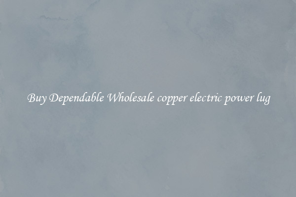 Buy Dependable Wholesale copper electric power lug
