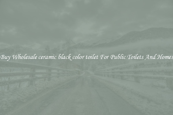 Buy Wholesale ceramic black color toilet For Public Toilets And Homes