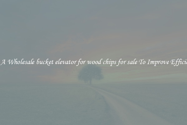 Get A Wholesale bucket elevator for wood chips for sale To Improve Efficiency