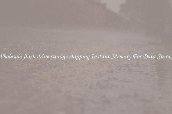 Wholesale flash drive storage shipping Instant Memory For Data Storage