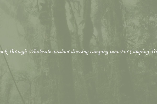 Look Through Wholesale outdoor dressing camping tent For Camping Trips