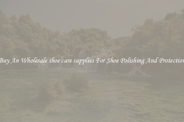 Buy An Wholesale shoe care supplies For Shoe Polishing And Protection