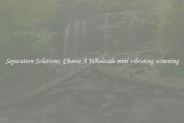 Separation Solutions: Choose A Wholesale mini vibrating screening