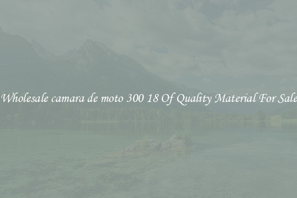 Wholesale camara de moto 300 18 Of Quality Material For Sale