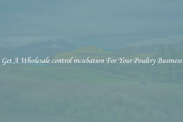 Get A Wholesale control incubation For Your Poultry Business