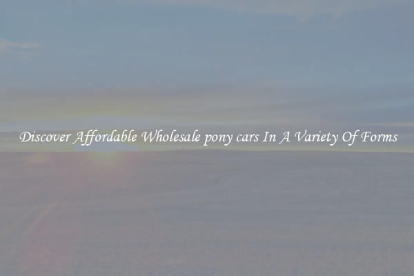 Discover Affordable Wholesale pony cars In A Variety Of Forms