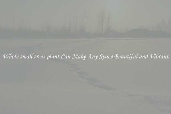Whole small trees plant Can Make Any Space Beautiful and Vibrant