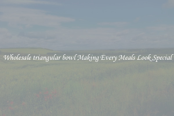 Wholesale triangular bowl Making Every Meals Look Special