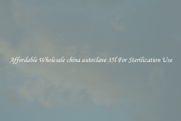 Affordable Wholesale china autoclave 35l For Sterilization Use