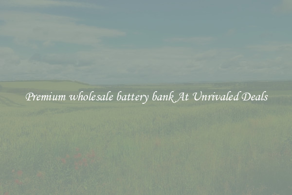 Premium wholesale battery bank At Unrivaled Deals