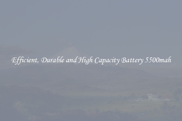 Efficient, Durable and High Capacity Battery 5500mah