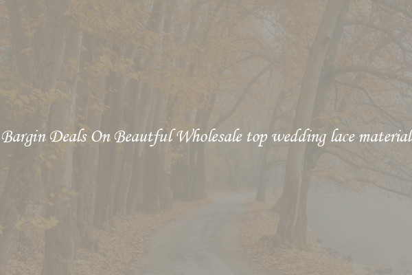 Bargin Deals On Beautful Wholesale top wedding lace material