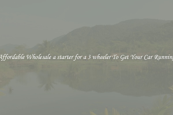 Affordable Wholesale a starter for a 3 wheeler To Get Your Car Running