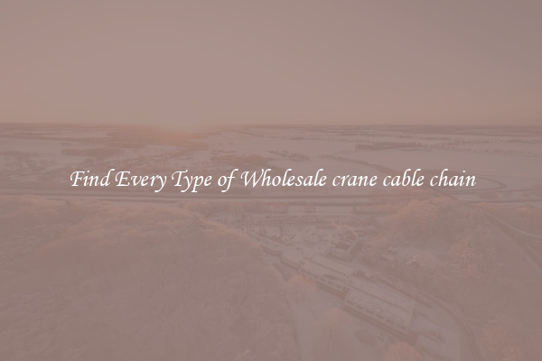 Find Every Type of Wholesale crane cable chain