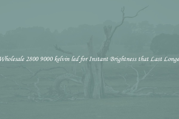Wholesale 2800 9000 kelvin led for Instant Brightness that Last Longer