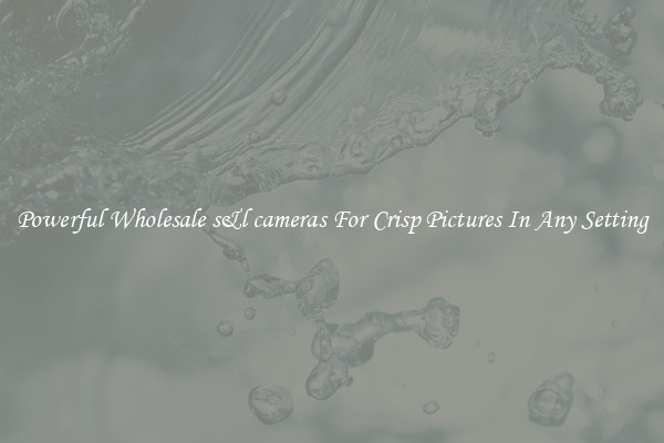 Powerful Wholesale s&l cameras For Crisp Pictures In Any Setting