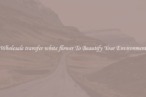 Wholesale transfer white flower To Beautify Your Environment