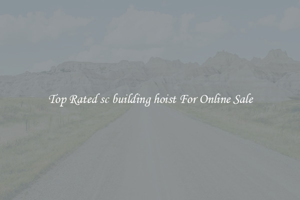 Top Rated sc building hoist For Online Sale