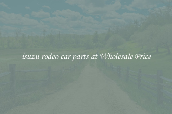 isuzu rodeo car parts at Wholesale Price