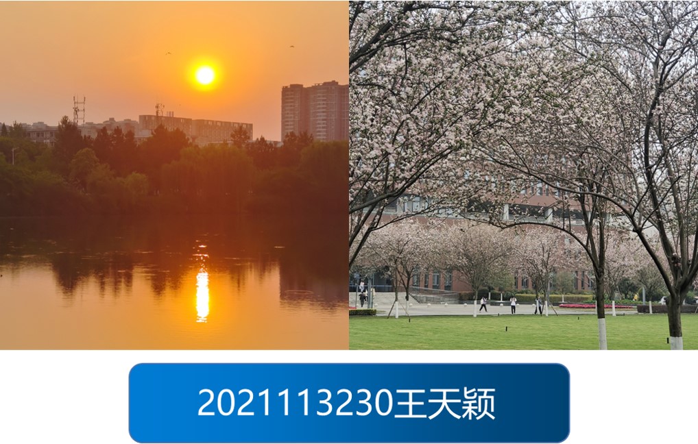 1670557009573026312.jpg